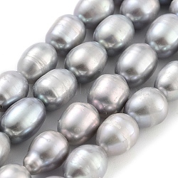 Natural Cultured Freshwater Pearl Beads Strands, Rice, Grade 2A+, Gray, 7~8mm, Hole: 0.6mm, about 21~22pcs/strand, 6.89''~7.09''(17.5~18cm)(PEAR-P062-10D)