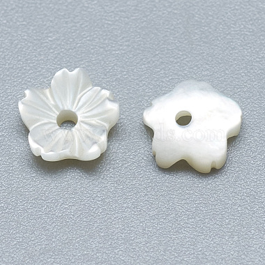 Natural White Shell Beads(SSHEL-S260-011)-2
