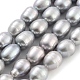 Natural Cultured Freshwater Pearl Beads Strands(PEAR-P062-10D)-2