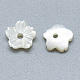 Natural White Shell Beads(SSHEL-S260-011)-2