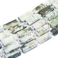 Natural Tree Agate Beads Strands, Rectangle, Faceted, 27~29x13~14x6~7mm, Hole: 1.5mm, about 12pcs/Strand, 14.96 inch(38cm)(G-E530-16L)