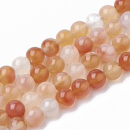 Natural Carnelian Beads Strands, Dyed, Round, 8mm, Hole: 1.5mm, about 50pcs/strand, 14.96 inch(G-S295-13-8mm)