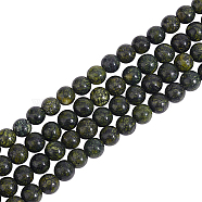 4 Strands Natural Serpentine/Green Lace Stone Beads Strands, Round, 6mm, Hole: 1mm, about 60~62pcs/strand, 15.35 inch(G-OC0004-23)