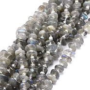 Natural Labradorite Beads Strands, Nuggets, 8~11x9~14x1.5~5mm, Hole: 0.8mm, about 74pcs/strand, 15.55''(39.5cm)(G-E569-J08)