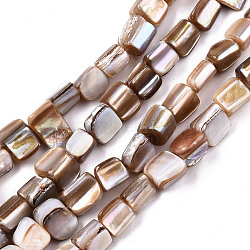 Natural Freshwater Shell Beads Strands, Nuggets, Camel, 5~12x5~8x4~8mm, Hole: 0.7mm, about 54~57pcs/strand, 14.96~15.35 inch(38~39cm)(X-SHEL-N026-124)