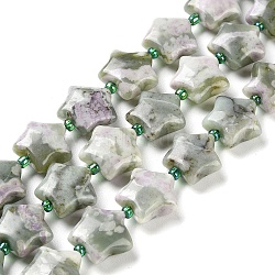 Natural Peace Jade Beads Strands, with Seed Beads, Star, 14~15.5x15~16x6.5~7mm, Hole: 1mm, about 24~25pcs/strand, 15.55''~15.95''(39.5~40.5cm)(G-NH0005-001)