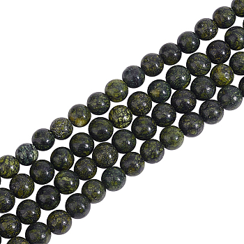 4 Strands Natural Serpentine/Green Lace Stone Beads Strands, Round, 6mm, Hole: 1mm, about 60~62pcs/strand, 15.35 inch