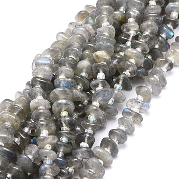 Natural Labradorite Beads Strands, Nuggets, 8~11x9~14x1.5~5mm, Hole: 0.8mm, about 74pcs/strand, 15.55''(39.5cm)