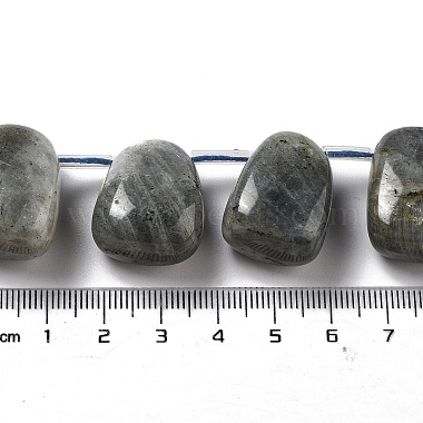 Natural Labradorite Beads Strands(G-P528-E10-01)-4