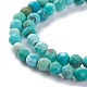 Natural HuBei Turquoise Beads Strands(G-A026-A10-2mm)-3