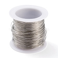 316 Stainless Steel Wire, for Jewelry Making, Stainless Steel Color, 24 Gauge, 0.5mm, about 75.45 Feet(23m)/roll(TWIR-L004-01C-P)