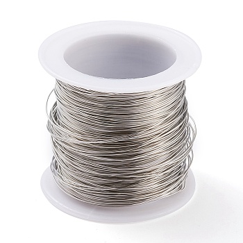 316 Surgical Stainless Steel Wire, for Jewelry Making, Stainless Steel Color, 24 Gauge, 0.5mm, about 75.45 Feet(23m)/roll