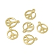 Rack Plating Brass Charms(X-KK-C007-08G)-1