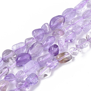 Natural Amethyst Beads Strands, Nuggets, Tumbled Stone, 5~11x5~8x3~6mm, Hole: 0.8mm, about: 52~56pcs/Strand, 15.94 inch(40.5cm)(G-S363-054)