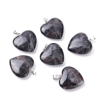 Natural Glaucophane Pendants, with Platinum Tone Brass Findings, Heart, 27~28x24.5~26x6~8.5mm, Hole: 2.4x5.6mm