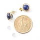 Natural Lapis Lazuli Round Beads Stud Earrings for Girl Women(EJEW-JE04666-01)-4