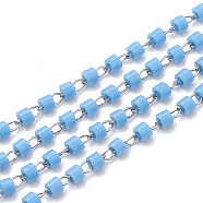 TOHO Japan Import Seed Beads, Handmade Glass Beaded Chains, Soldered, with Spool, with Stainless Steel Findings, Column, Stainless Steel Color, Dodger Blue, 2mm, about 26.24 Feet(8m)/strand(CHS-S004-05D)