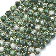 Natural Green Spot Jasper Beads Strands, with Seed Beads, Faceted, Lantern, 8~8.5x6.5~7mm, Hole: 0.6mm, about 44pcs/strand, 15.16''(38.5cm)(G-K389-E64-01)