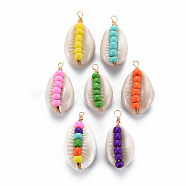 Cowrie Shell Pendants, with Plastic Bead and Golden Brass Findings, Mixed Color, 28~33x13~17x11~12mm, Hole: 1.5~4mm(SHEL-S276-140)