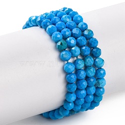 Natural Howlite Beads Strands, Dyed, Faceted, Round, Dodger Blue, 3mm, Hole: 0.8mm, about 119~129pcs/strand, 15.35''(39cm)(G-C025-02B-10)