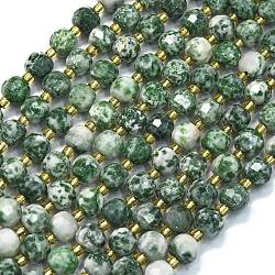 Natural Green Spot Jasper Beads Strands, with Seed Beads, Faceted, Lantern, 8~8.5x6.5~7mm, Hole: 0.6mm, about 44pcs/strand, 15.16''(38.5cm)(G-K389-E64-01)