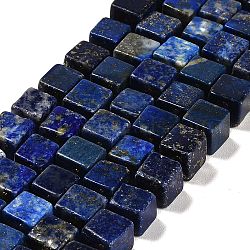 Natural Lapis Lazuli Beads Strands, Cube, Grade AB, 8~9x8~9x8~9mm, Hole: 1.2mm, about 38~39pcs/strand, 15.08~15.35 inch(38.3~39cm)(G-G053-B06-01)