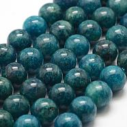 Natural Apatite Beads Strands, Round, 10mm, Hole: 1mm, about 38pcs/strand, 15.5 inch(39.5cm)(G-F475-06-10mm)