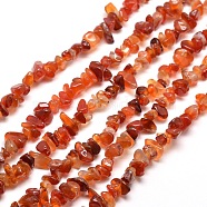 Natural Agate Chip Bead Strands, Dyed & Heated, 5~8x5~8mm, Hole: 1mm, about 31.5 inch(X-G-M205-47)