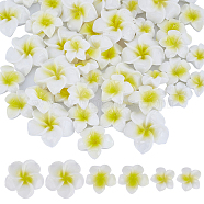 60Pcs 3 Styles Opaque Resin Cabochons, Flower, Yellow, 15.5~26x17~27x6~7.5mm, 20pcs/style(RESI-SC0002-78)