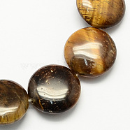 Natural Tiger Eye Stone Bead Strands, Flat Round, 16x5mm, Hole: 1mm, about 25pcs/strand, 16.5 inch(G-S110-15)