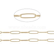 Ion Plating(IP) 304 Stainless Steel Paperclip Chains, Soldered, with Spool, Golden, 10x2.5x0.5mm, about 65.61 Feet(20m)/roll(CHS-F010-01C-G)