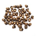 Acorn Foam Display, with Plant Leaf, for Home Display Decorations, Sandy Brown, 25~45x15~30mm, 50pcs/bag(DJEW-WH0015-21D)