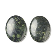 Natural Kambaba Jasper Worry Stone for Anxiety Therapy, Oval Thumb Stone, 45x34~35x7~8.5mm(G-B036-01M)
