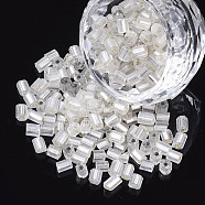 6/0 Two Cut Glass Seed Beads, Hexagon, Silver Lined, WhiteSmoke, 3.5~5x3.5~4mm, Hole: 1mm, about 4500pcs/bag(SEED-S033-05B-02)