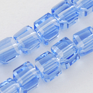 Glass Bead Strands, Faceted, Cube, Cornflower Blue, 6x6x6mm, Hole: 1mm, about 100pcs/strand, 22 inch(X-GLAA-R041-6x6mm-30)
