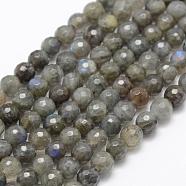 Natural Labradorite Beads Strands, Grade A+, Faceted, Round, 6mm, Hole: 1mm, about 66pcs/strand, 15.1 inch(38.5cm)(G-P322-30-6mm)