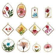 12Pcs 12 Styles Transparent Clear Epoxy Resin Pendants,  Geometric Charms with Inner Flower, with Edge Golden Plated Brass Loops, Mixed Shapes, Mixed Color, 22~35x19~30x3~7mm, Hole: 1.4~2.5mm, 1pc/style(RESI-TA0001-90)