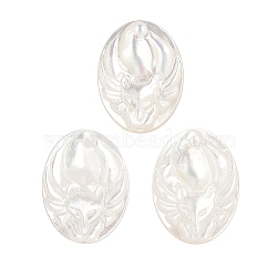 Natural White Shell Carved Cabochons, Oval with Fox, White, 20x15x2.5mm(SSHEL-I026-22A)