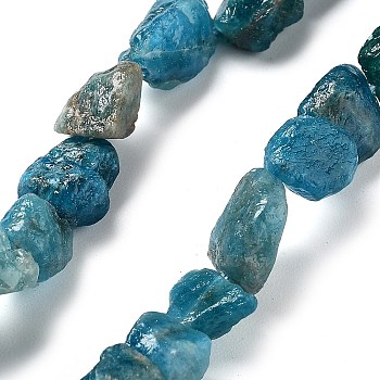 Raw Rough Natural Apatite Beads Strands, Nuggets, 8.5~13.5x6.5~9x5~7mm, Hole: 0.9mm, about 18~21pcs/strand, 7.28''~7.87''(18.5~20cm)