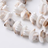 Natural Tiger Cowrie Shell Beads Strands, Seashell Color, 8~10x8~22x5~8mm, Hole: 1mm, about 64pcs/strand, 15 inch(X-BSHE-O016-21)