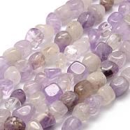 Natural Amethyst  Beads Strands, Nuggets, 7~9x7~9x3~8mm, Hole: 1mm, about 42~47pcs/strand, 15.7 inch(40cm)(G-F464-12)