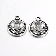 Tibetan Style Alloy Flat Round with Flower Scotland Thistle Pendants, Cadmium Free & Nickel Free & Lead Free, Antique Silver, 19x16x1mm, Hole: 2mm, about 930pcs/1000g(TIBEP-24054-AS-FF)