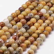 Natural Crazy Lace Agate Beads Strands, Round, 4mm, Hole: 1mm, about 89~98pcs/strand, 15 inch(X-G-D840-70-4mm)