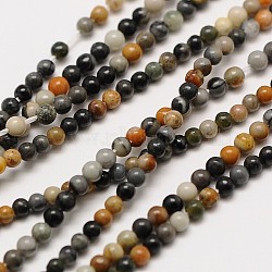Natural Polychrome Jasper/Picasso Stone/Picasso Jasper Bead Strands, Round, 2mm, Hole: 0.8mm, about 184pcs/strand, 16 inch(X-G-A130-2mm-22)