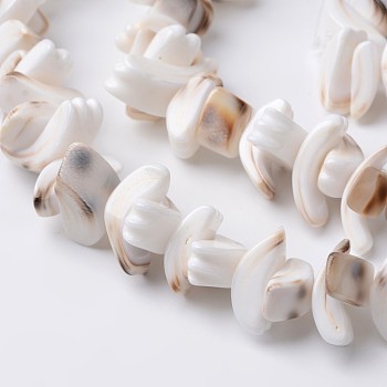 Natural Tiger Cowrie Shell Beads Strands, Seashell Color, 8~10x8~22x5~8mm, Hole: 1mm, about 64pcs/strand, 15 inch
