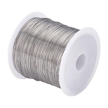 1 Roll Tiger Tail Wire, 316 Surgical Stainless Steel, for Jewelry Making, Stainless Steel Color, 26 Gauge,0.4mm,about 124.67 Feet(38m)/roll
