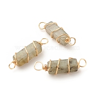 Natural Labradorite Connector Charms, with Golden Tone Copper Wire Wrapped, Cuboid, 22~23.5x6~7x5.5~6mm, Hole: 2.5~3.2mm(PALLOY-JF01580-01)
