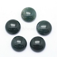 Natural Moss Agate Cabochons, Half Round, 12x5~6mm(X-G-P393-R28-12mm)