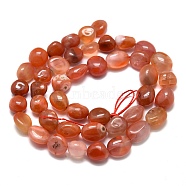 Natural South Red Agate Beads Strands, Tumbled Stone, Nuggets, 8~13x7~8x5~6mm, Hole: 0.6mm, about 43pcs/Strand, 15.75 inch(40cm)(G-O186-B-15)
