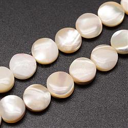 Natural Trochid Shell/Trochus Shell Beads Strands, Flat Round, Blanched Almond, 8x3~3.5mm, Hole: 1mm, about 51pcs/strand, 15.75 inch(SSHEL-K016-04)